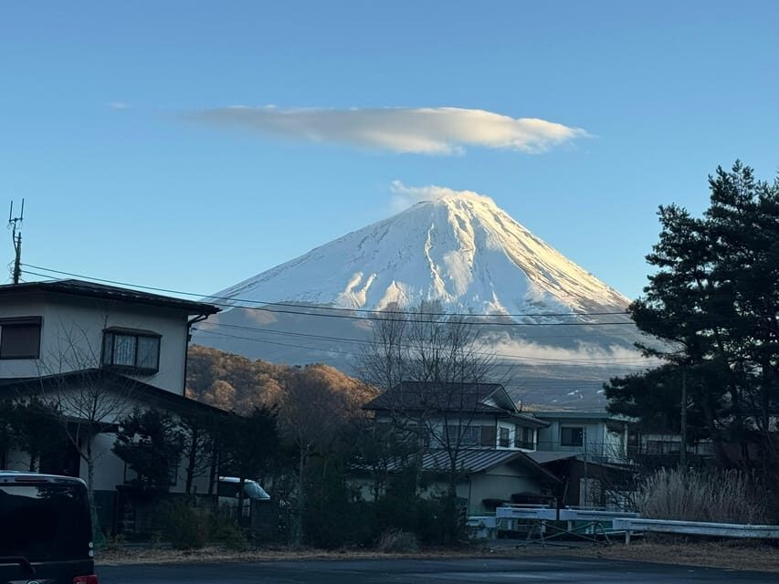 Tokyo: Mount Fuji & Hakone Private Tour with Guide - Hakone Ropeway: where the view is worth the line
