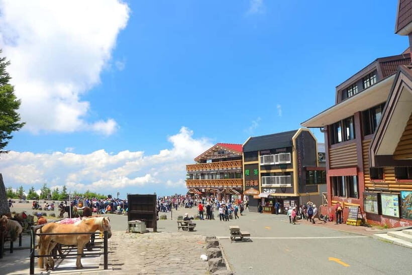 Tokyo: Mt. Fuji 5th St, Gotemba & Hakone by Luxury Bus - Key points to know before you go