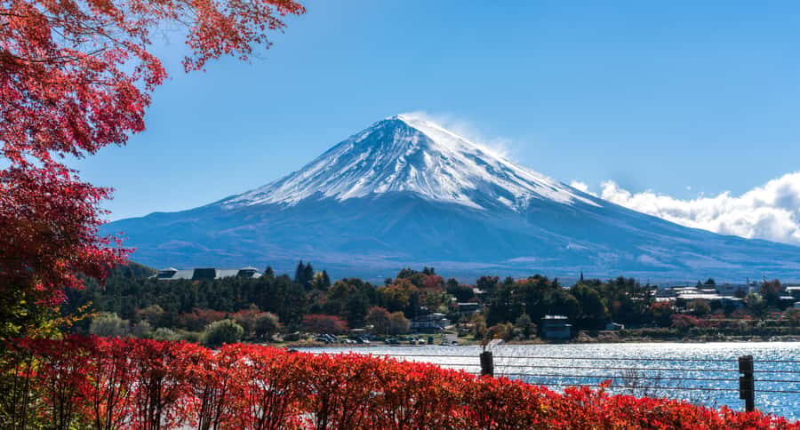 Tokyo: Mt. Fuji 5th Station, Kawaguchiko Tour w/ Cable Car - Lake Kawaguchi cruise: Appare Pier, Ohashi Bridge, and Unoshima