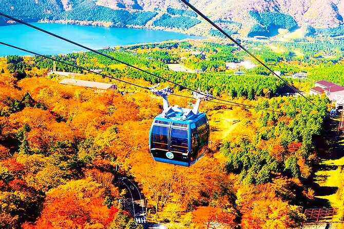 Tokyo: Mt. Fuji Cruise & Hakone Ropeway Day Trip by Bus - From Keio Plaza Hotel to Lake Ashinoko: The Easy Start in Shinjuku