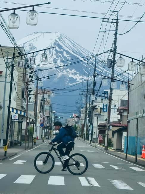Tokyo: Mt. Fuji & Hakone Private Custom Tour English Driver - Door-to-Door Pickup With an English-Hindi Driver