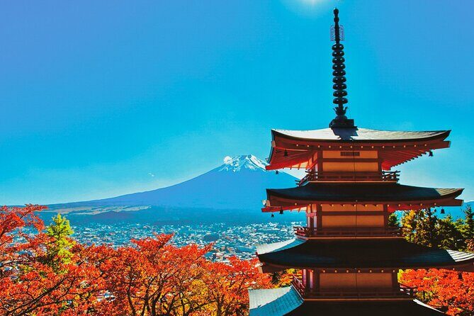 Tokyo: Mt.Fuji & Lake Kawaguchiko 1-Day Bus Tour w/Optional Lunch - How This Mt. Fuji Day Trip Works From Shinjuku