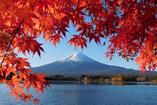 Tokyo: Mt.Fuji & Lake Kawaguchiko 1-Day Bus Tour w/Optional Lunch - Chureito Pagoda At Arakurayama Sengen Park: The Stair-Back Reward