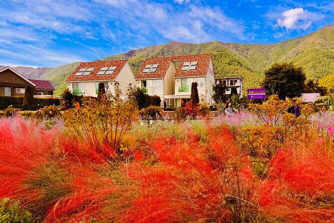 Tokyo: Mt.Fuji & Lake Kawaguchiko 1-Day Bus Tour w/Optional Lunch - Timing, Comfort, and What to Bring