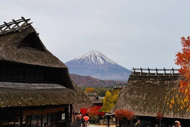 Tokyo: Mt.Fuji & Lake Kawaguchiko 1-Day Bus Tour w/Optional Lunch - Seasonal Notes That Can Change Your Day