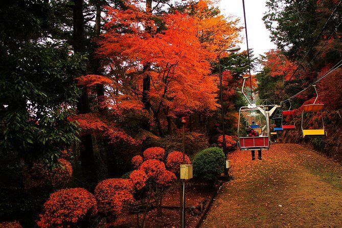 Tokyo: Mt Takao Tour with Ramen and Tattoo-Okay Hot Spring - Key Highlights Worth Booking For