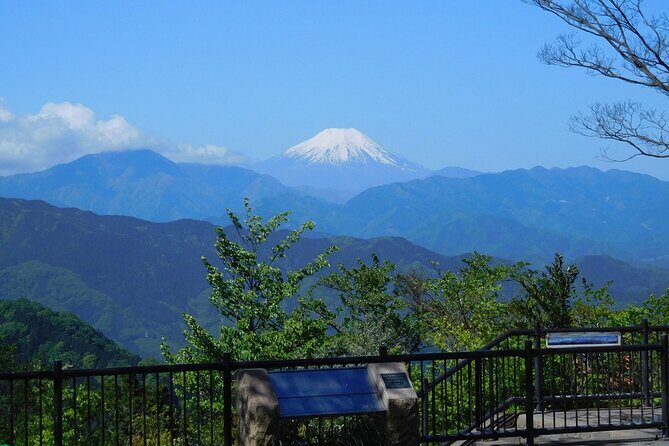 Tokyo: Mt Takao Tour with Ramen and Tattoo-Okay Hot Spring - Mt. Takao: A Nature Reset Just Outside Tokyo