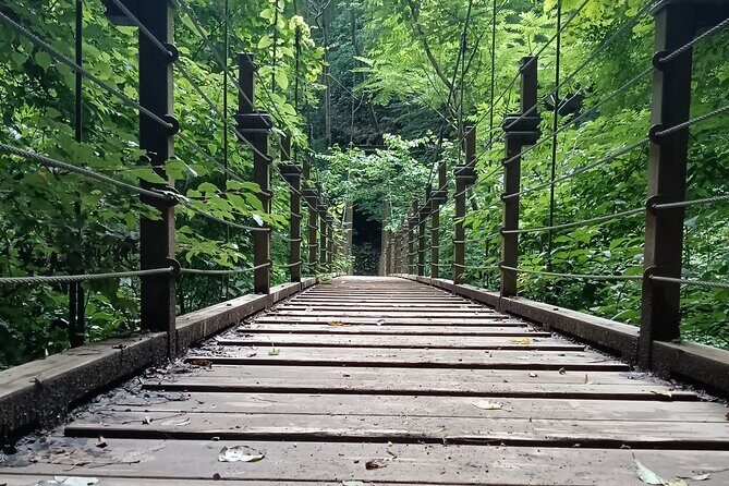 Tokyo: Mt Takao Tour with Ramen and Tattoo-Okay Hot Spring - The Temple Walk to Summit Views (and Fuji If You’re Lucky)