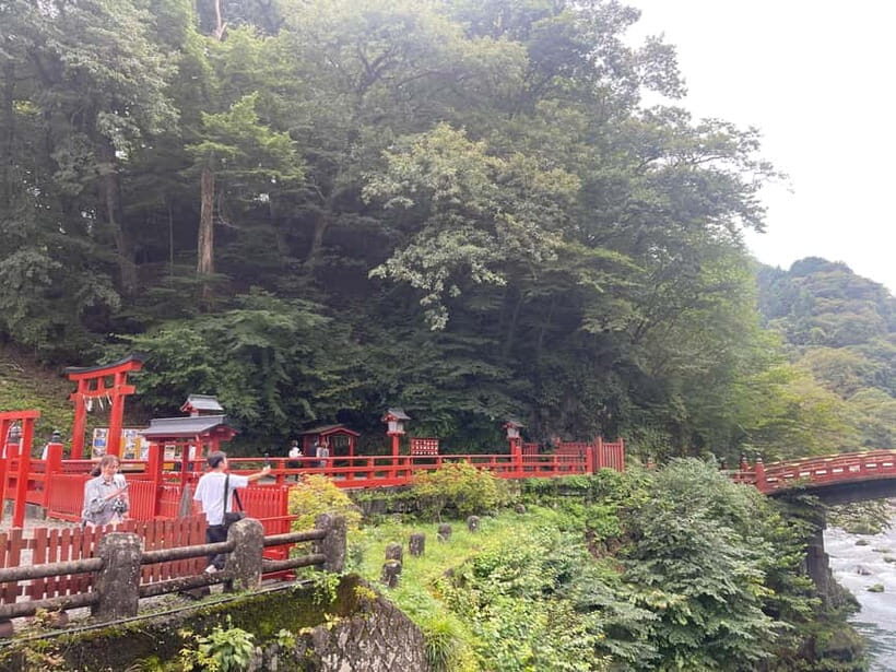 Tokyo: Nikko Private Customize Tour English Driver & Guide - Toshogu Shrine complex and the UNESCO details you should spot