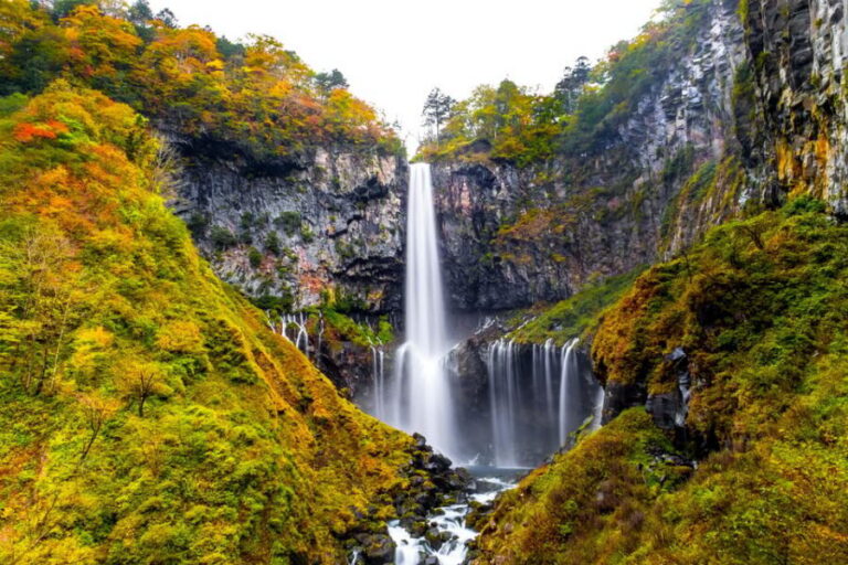 Tokyo: Nikko Toshogu Shrine and Kegon Waterfall Tour - Meeting points in Tokyo: where to go so you don’t lose time
