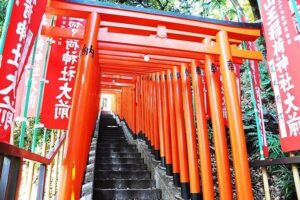 Tokyo Off the Beaten Path 6hr Private Tour with Licensed Guide - Choosing your best 3–4 stops: cluster by neighborhood