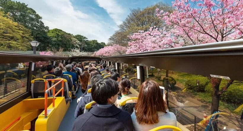 Tokyo: Open Top Panoramic Sightseeing Bus with Audio Guide - Open-Top Bus Views in 70 Minutes