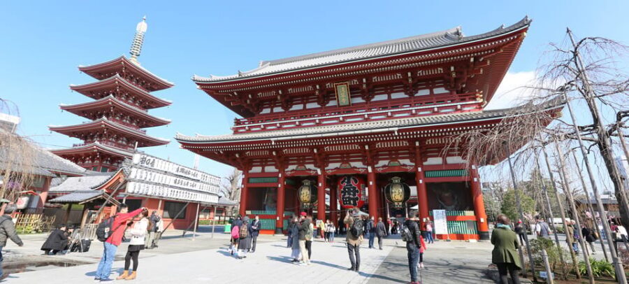 Tokyo: Private City Highlights Tour with Local Guide - Harajuku and Takeshita Street: Kawaii, Shopping, and People-Watching
