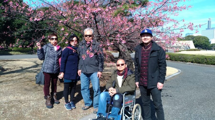 Tokyo: Private City Highlights Tour with Local Guide - Tsukiji Fish Market Area: Food Atmosphere Plus a Plan