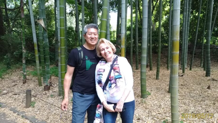 Tokyo: Private City Highlights Tour with Local Guide - Akihabara, Nezu, and Shinjuku Golden Gai: When Tokyo Gets Specific