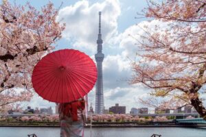 Tokyo Private Customizable Tour with English Speaking Chauffeur - Senso-ji: Tokyo’s classic temple moment in Asakusa