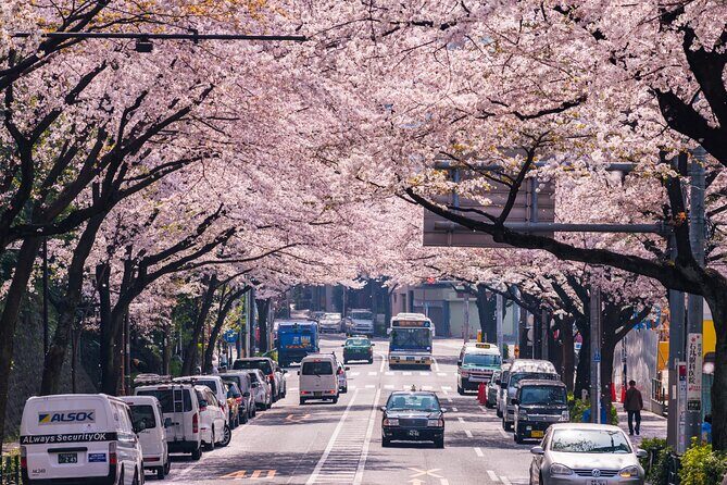 Tokyo Private Customizable Tour with English Speaking Chauffeur - Tsukiji Outer Market: street-food energy and an easy lunch plan