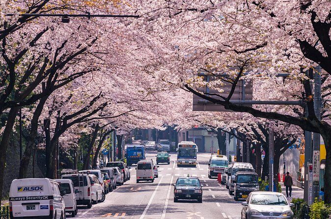 Tokyo Private Customizable Tour with English Speaking Chauffeur - Harajuku’s Takeshita Street: fashion chaos with style