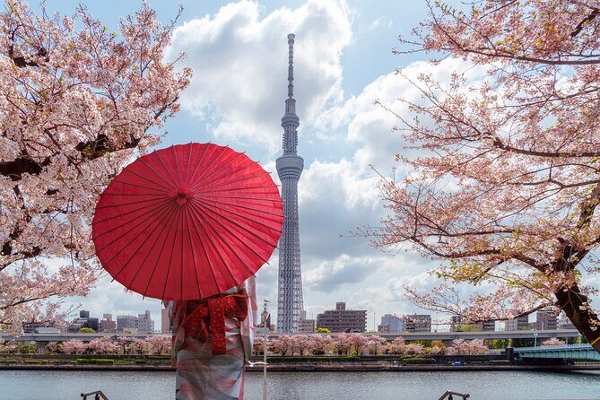 Tokyo Private Customizable Tour with English Speaking Chauffeur - Senso-ji: Tokyo’s classic temple moment in Asakusa