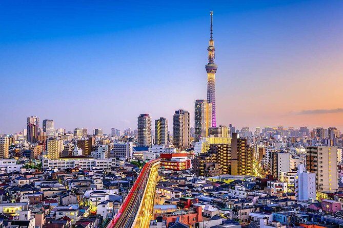 Tokyo Private Full-Day Tour by Car or Van - Tokyo Skytree: Go Up or Skip It?