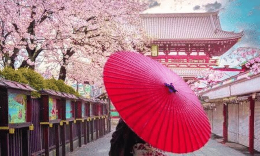 Tokyo: Private Guided Tour with Hotel Pickup and Drop-off - Key highlights worth your attention