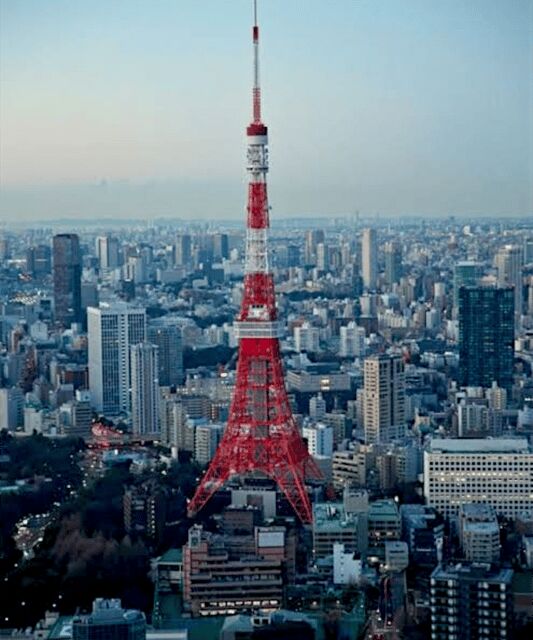 Tokyo: Private Guided Tour with Hotel Pickup and Drop-off - Customization actually works with a one-day window