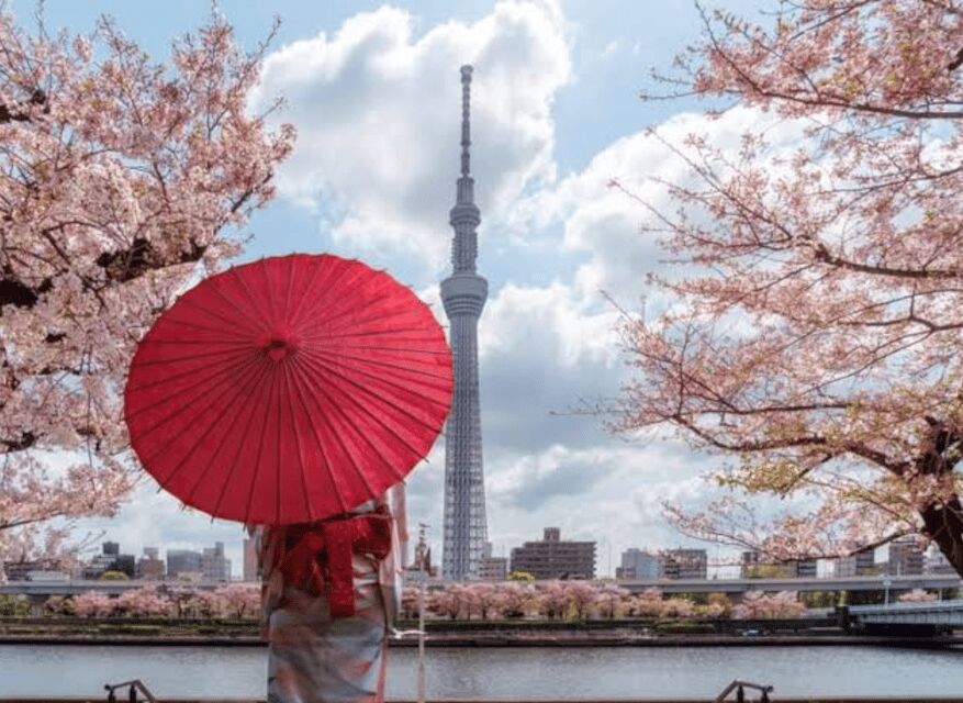 Tokyo: Private Guided Tour with Hotel Pickup and Drop-off - Sensō-ji Temple and Nakamise Street: history you can feel in your feet
