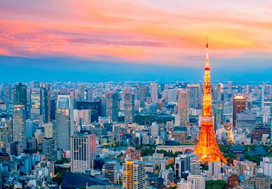 Tokyo: Private Guided Tour with Hotel Pickup and Drop-off - Meiji Shrine and Imperial Palace gardens: your reset button from the noise