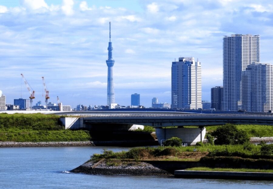 Tokyo: Private Guided Tour with Hotel Pickup and Drop-off - Shibuya and Harajuku: where Tokyo’s modern identity turns up loud