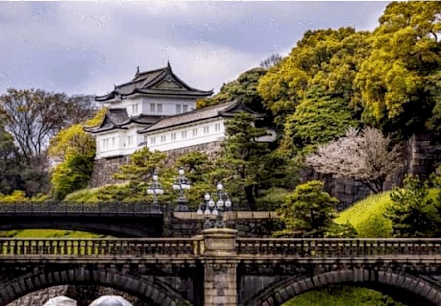 Tokyo: Private Guided Tour with Hotel Pickup and Drop-off - Hotel pickup, onboard Wi‑Fi, and that calm between stops