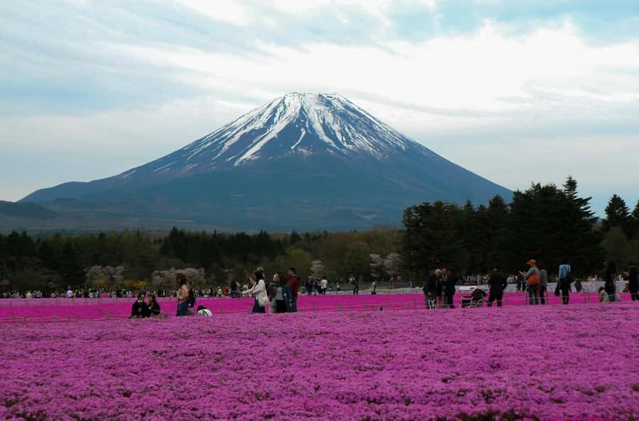 Tokyo: Private Mount Fuji Tour with Pickup and Drop-Off - Getting picked up from your Tokyo hotel (and returning afterward)