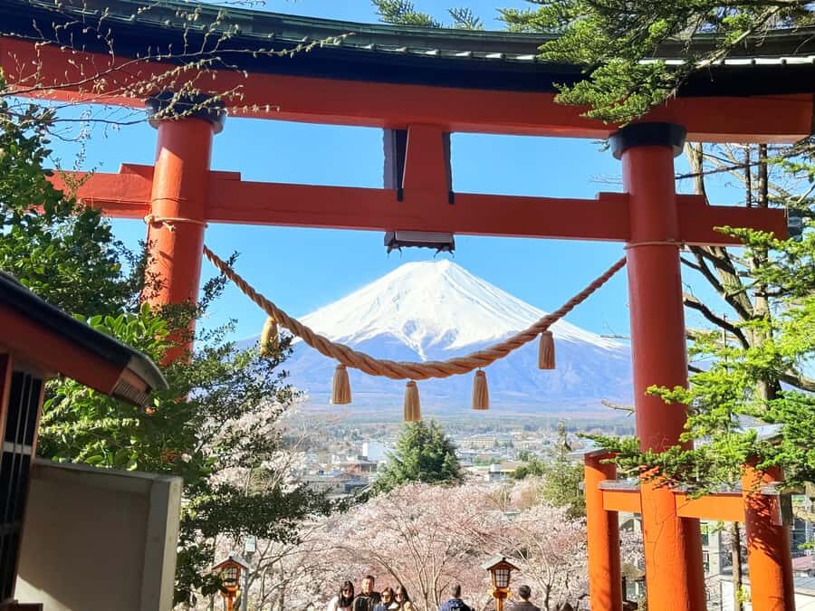 Tokyo: Private Mount Fuji Tour with Pickup and Drop-Off - Oishi Park: cherry blossoms and Fuji views, plus photo freedom