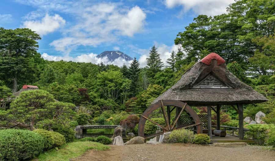 Tokyo: Private Mount Fuji Tour with Pickup and Drop-Off - What’s included (and what you’ll handle yourself)
