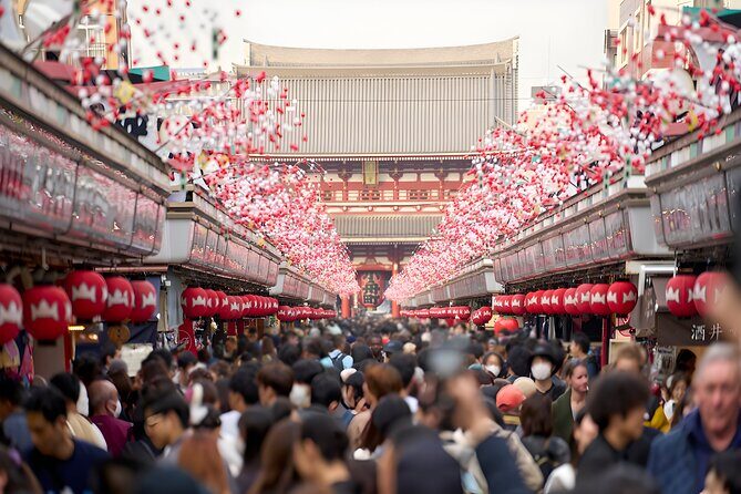 Tokyo Private Sightseeing Tour by Car and English Speaking Driver - Why Tokyo works best with a private car for a full day