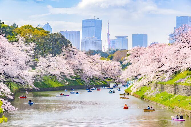 Tokyo Private Sightseeing Tour by Car and English Speaking Driver - Stops 2 and 6: Tokyo Skytree and Tokyo Tower view strategy