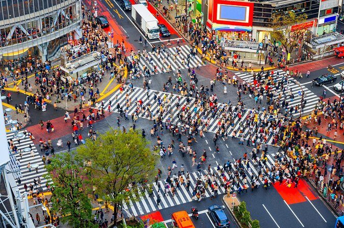 Tokyo Private Sightseeing Tour by Car - English speaking driver - Senso-ji Temple: The Big Pilgrimage Walk You Actually Want
