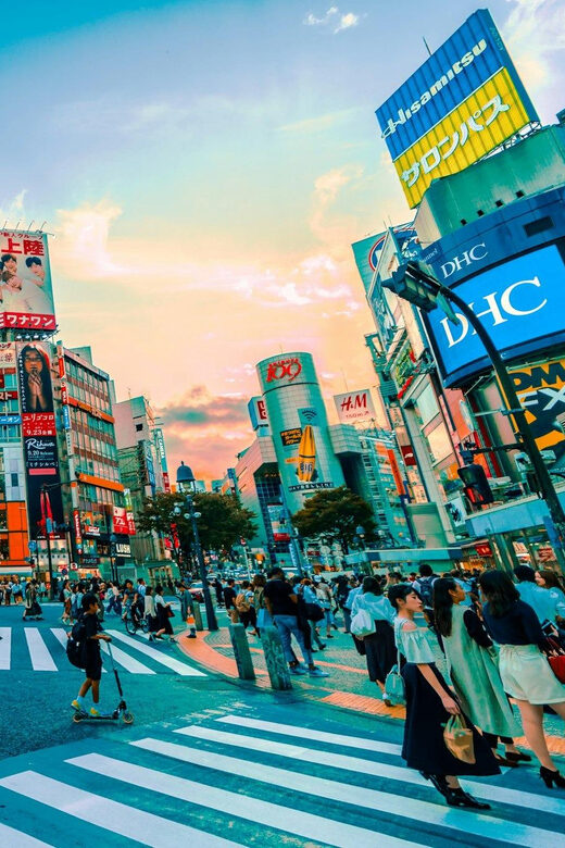 Tokyo: Private Tailored Tour with a Local Guide - Shibuya Crossing and Hachiko: The Iconic Scene, With Context