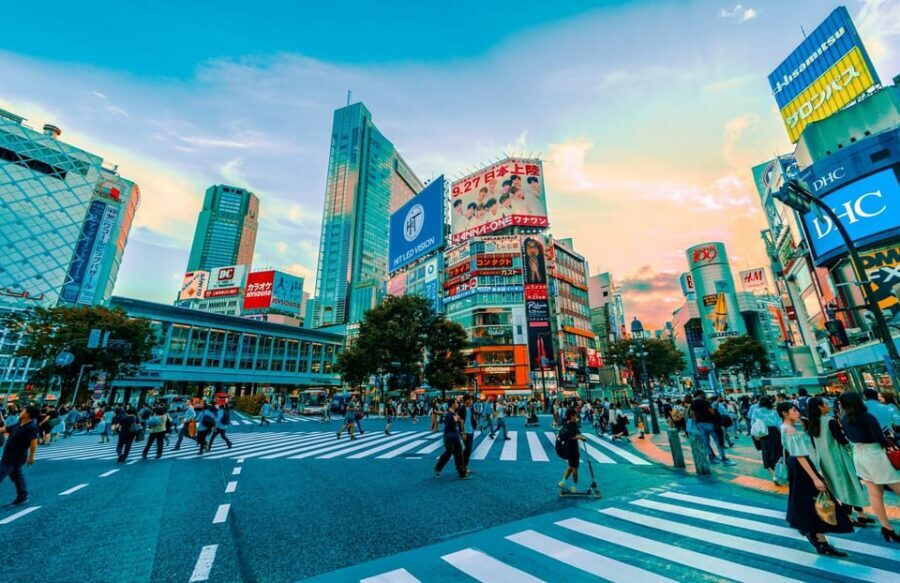Tokyo: Private Tailored Tour with a Local Guide - Nakano Broadway: The Nerdy Side of Tokyo (In a Good Way)