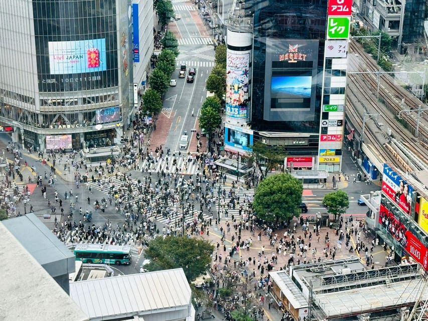 Tokyo: Private Tailored Tour with a Local Guide - Shinjuku Views and Omoide Yokocho: Showa Nostalgia Mode