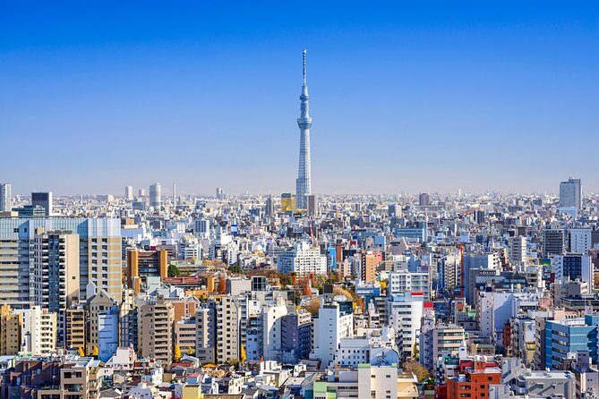 Tokyo Private Tour by Vehicle with English-Speaking Chauffeur - Tokyo Skytree: plan your ticket, then enjoy the skyline payoff
