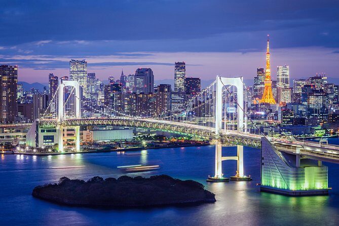 Tokyo Private Tour by Vehicle with English-Speaking Chauffeur - Meiji Jingu Shrine: a calmer kind of Tokyo icon