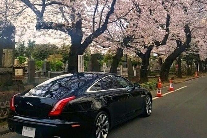 Tokyo Private Tour by Vehicle with English-Speaking Chauffeur - Senso-ji Temple in Asakusa: start with the sensory classic