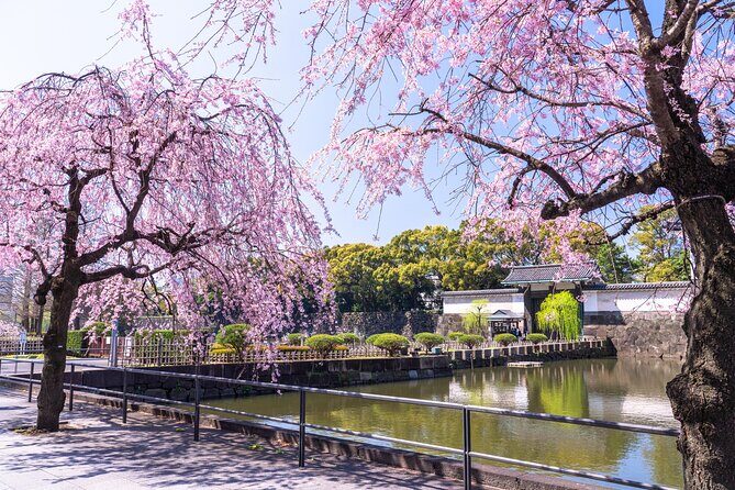 Tokyo Private Tour! Edo Castle & Imperial Palace East Gardens - Tokyo’s Imperial Palace East Gardens: why this walk feels special
