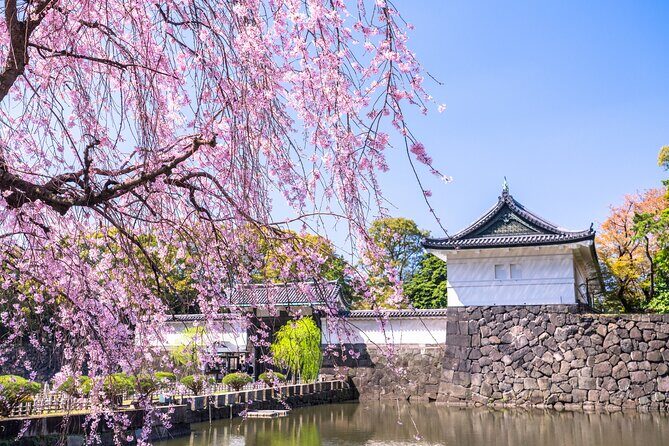 Tokyo Private Tour! Edo Castle & Imperial Palace East Gardens - What you can and can’t enter (important): East Gardens only