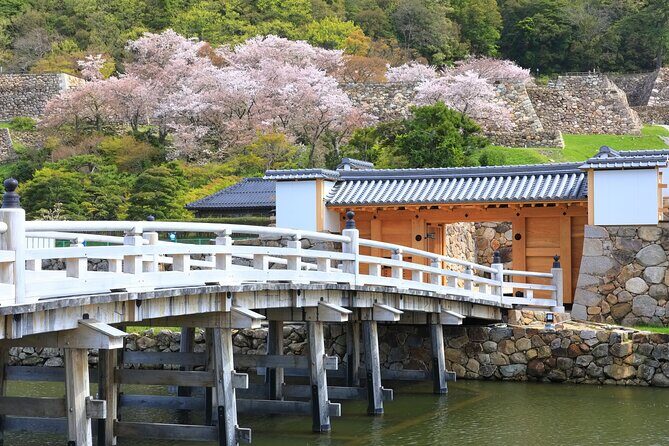 Tokyo Private Tour! Edo Castle & Imperial Palace East Gardens - Why a private guide matters here (more than just translation)
