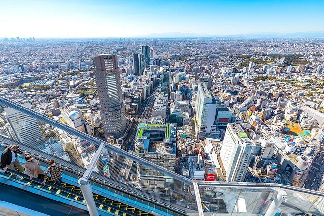 Tokyo Private Tour: One Day Highlights and Optional Shibuya Sky - Key Things to Know About This Tokyo Private Tour