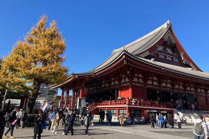 Tokyo Private Tour: One Day Highlights and Optional Shibuya Sky - Shibuya Sky: skyline views with real timing stakes