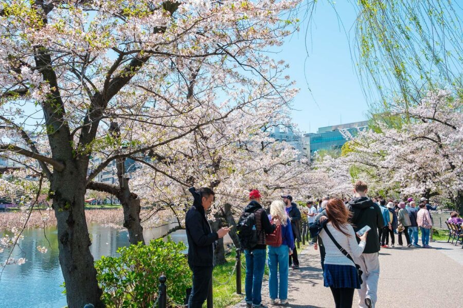 Tokyo: Private Walking Tour with a Local Guide - Should you book this Tokyo Vibes private walking tour?