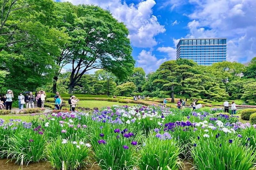 Tokyo: Pvt. Tour - Edo Castle & Imperial Palace East Gardens - Imperial Palace East Gardens: What You Can See (and What You Can’t)