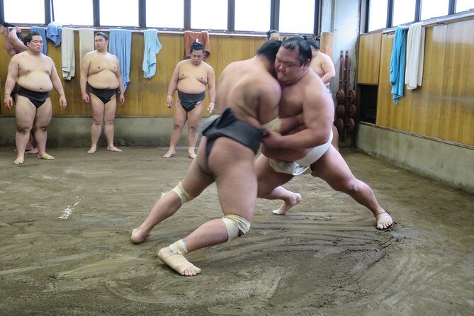 Tokyo Ryogoku Sumo Morning Practice + Photo Shoot with Wrestlers - Key Things to Know Before You Go
